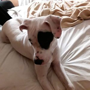 Meet your Posher, Gary